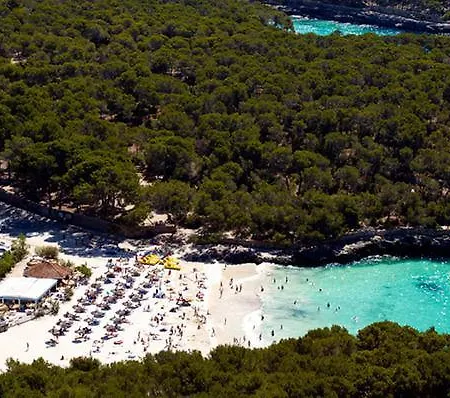 Playa Mondrago Hotel 3*